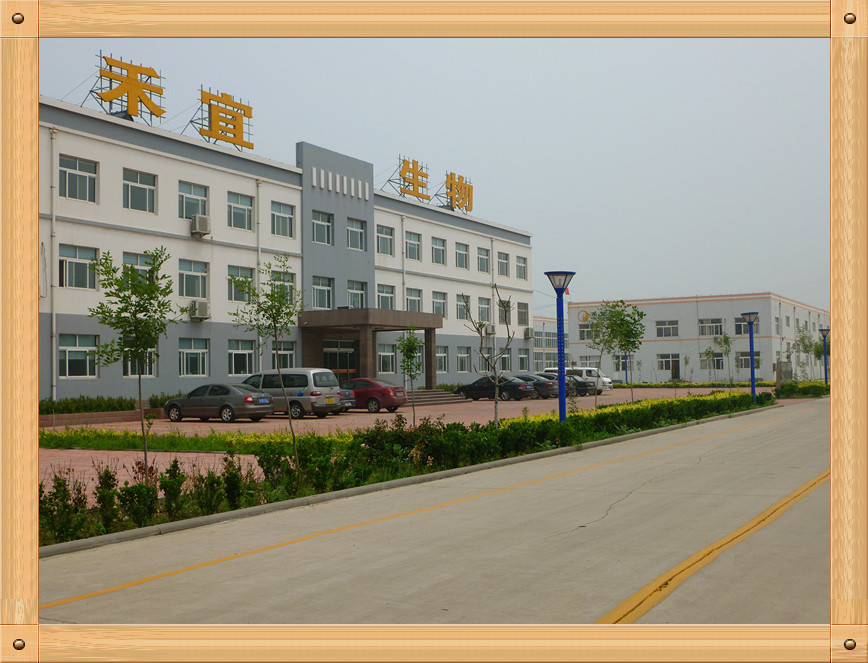 Porcelana Weifang Heyi Agrochemical Co.,Ltd